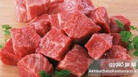 سرنوشت گوشت قرمز چه می‌شود؟ حذف ارز ترجیحی در کانون توجه ستاد تنظیم بازار!