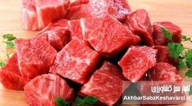 سرنوشت گوشت قرمز چه می‌شود؟ حذف ارز ترجیحی در کانون توجه ستاد تنظیم بازار!