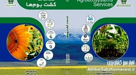 کشاورزی پایدار، فراتر از تامین غذا: نگاهی عمیق به «خدمات کشت بوم‌ها»