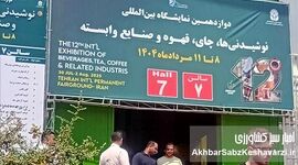 صادرات موفق؛ چشم‌اندازی روشن با حمایت دولت و رفع موانع در صنعت نوشیدنی

