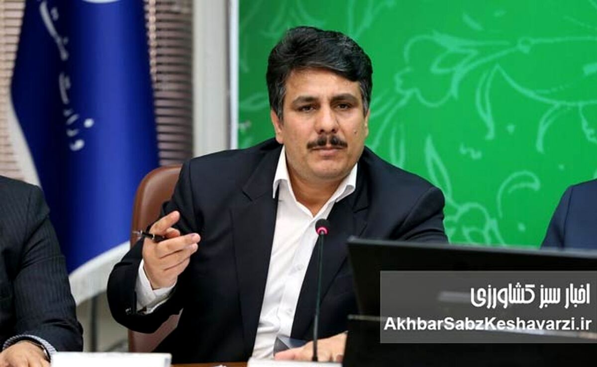 تأخیر ۱۰‌ماهه دولت در پرداخت بدهی واردکنندگان نهاده دامی، بحران مرغ را تشدید می‌کند+ ویدئو