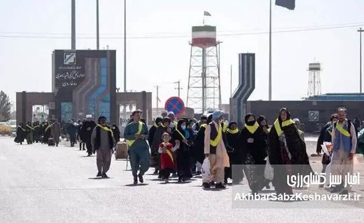 تعداد افغانستانی‌های آماده حضور در مراسم تشییع اعلام شد؛ صدور ۲۵۰۰ روادید