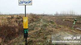 تالاب انزلی در محاصره خشکی؛ زنگ خطر برای شمال کشور

