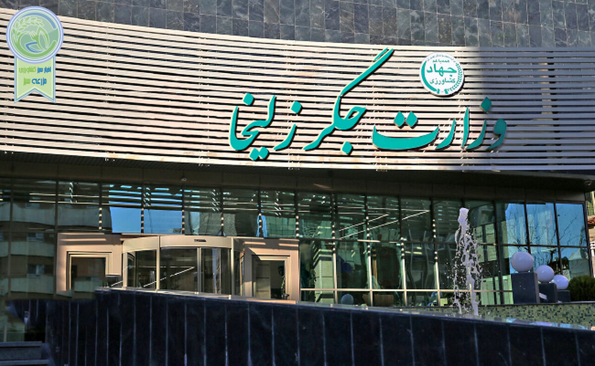 وزارت جگر زلیخا+فیلم