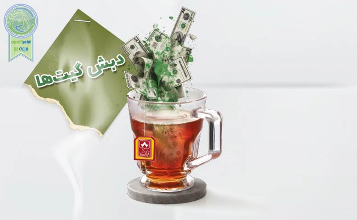 دبش گیت‌ها

