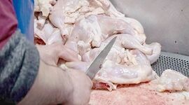 قیمت منطقی هر کیلو مرغ گرم ۹۰ هزار تومان


