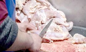 قیمت منطقی هر کیلو مرغ گرم ۹۰ هزار تومان

