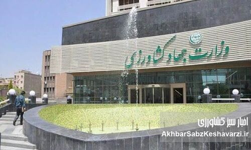 پشت پرده ابهامات مدیریتی در وزارت جهاد کشاورزی؛ سکوت تا کی؟
