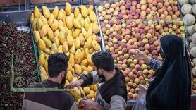 قیمت میوه و تره بار ۲۵ دی ۱۴۰۲

