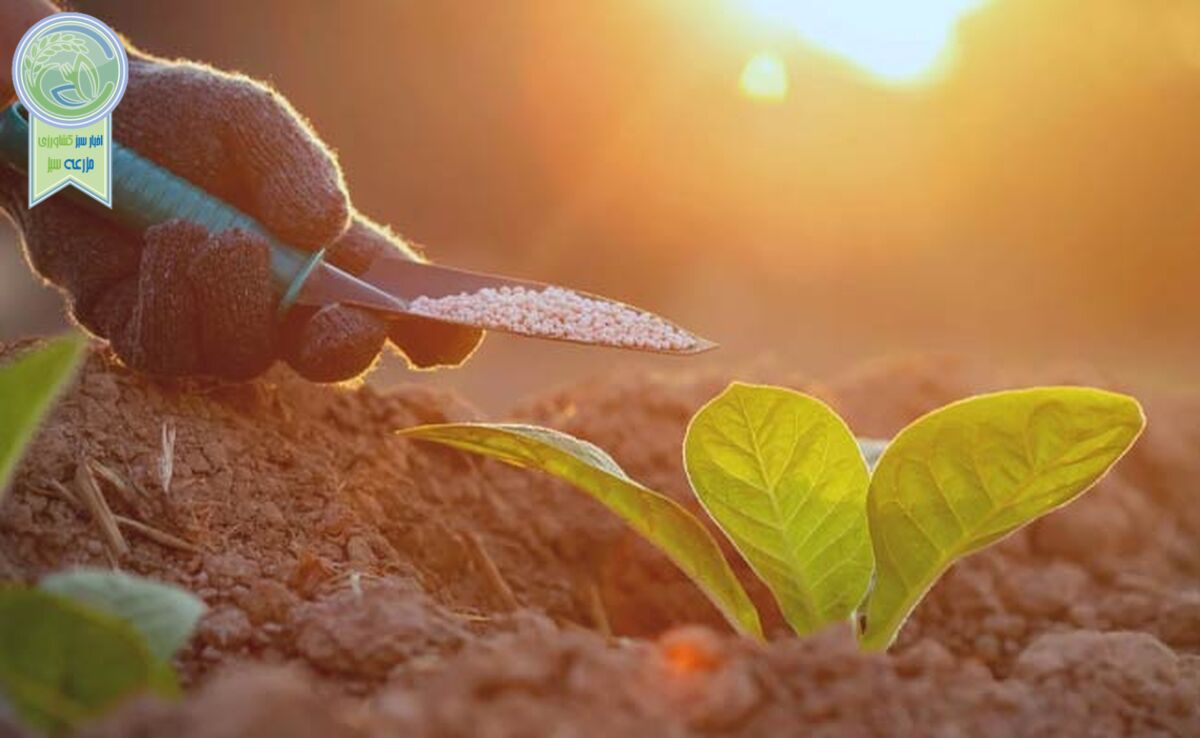 نکاتی طلایی برای کود دهی بهاره

