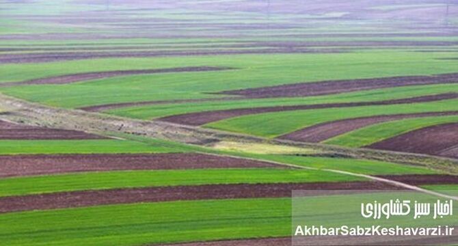 تحول در ثبت سند زمین‌ها؛ اجرای قانون الزام با شتاب می‌گیرد!