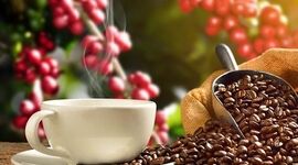 مصرف قهوه برای چه کسانی سم است؟