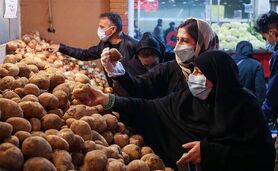 قیمت سیب زمینی سر به فلک کشید+ ویدئو

