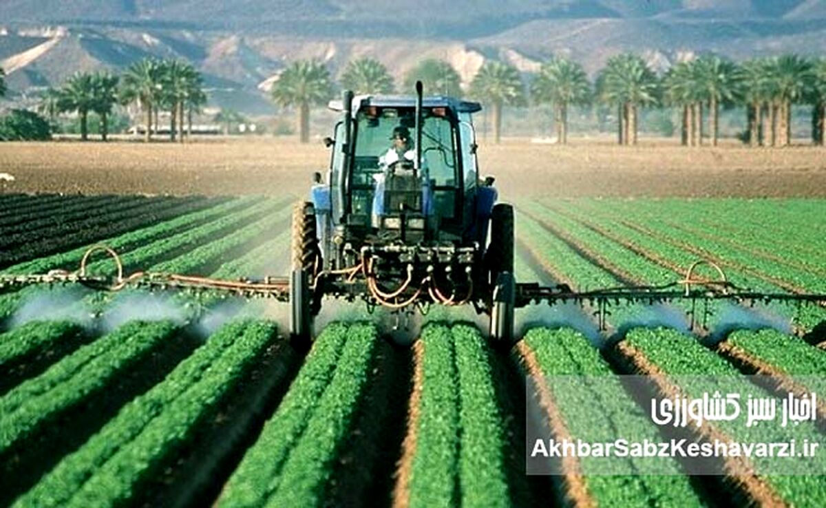 استان فارس پیشرو در ترویج و آموزش کشاورزی با اجرای الگوی کشت ملی