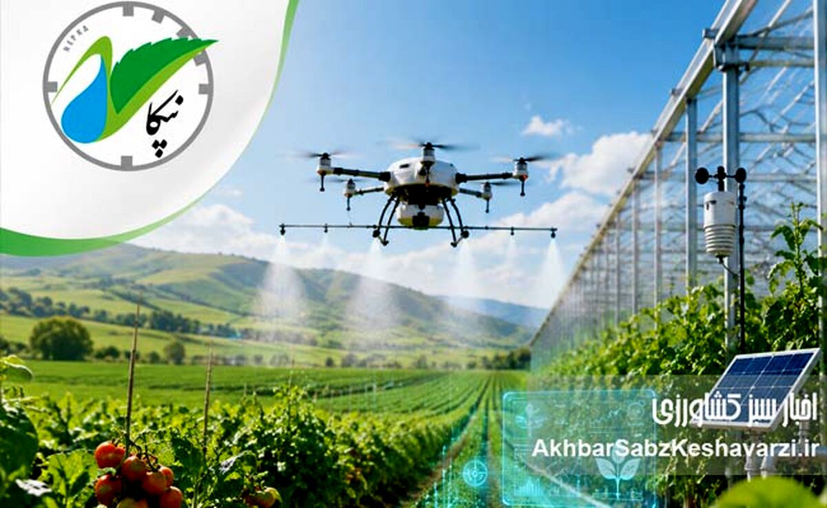 گروه کشاورزی نپکا؛ پیشرو در تحول کشاورزی مدرن