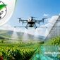 گروه کشاورزی نپکا؛ پیشرو در تحول کشاورزی مدرن