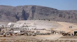نهال‌های «الیمالات» عامدانه خشکیدند

