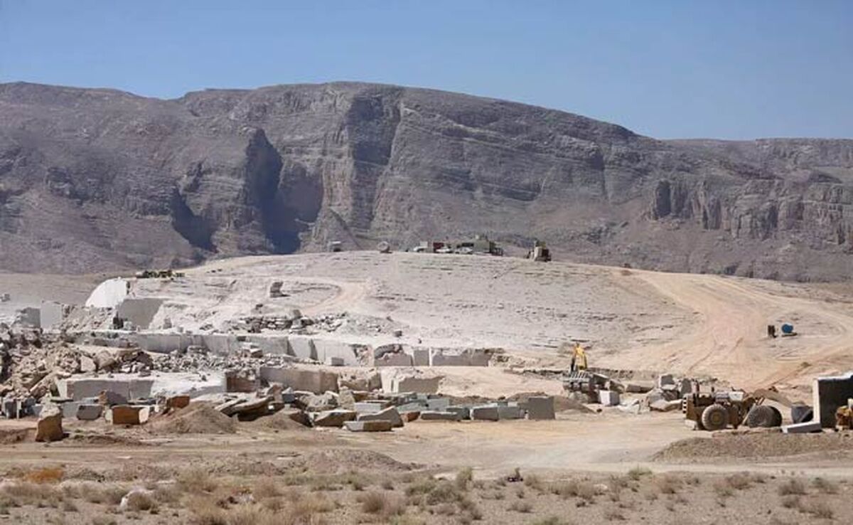 نهال‌های «الیمالات» عامدانه خشکیدند

