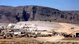 نهال‌های «الیمالات» عامدانه خشکیدند


