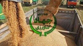 بحران در تأمین نهاده‌های دامی؛ اعتراض شدید دامداران به وزارت جهاد کشاورزی+ نامه