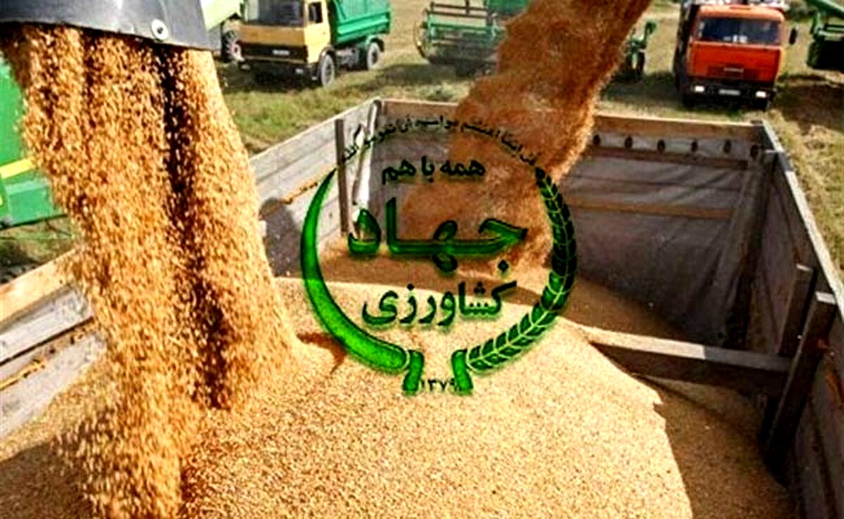 بحران در تأمین نهاده‌های دامی؛ اعتراض شدید دامداران به وزارت جهاد کشاورزی+ نامه