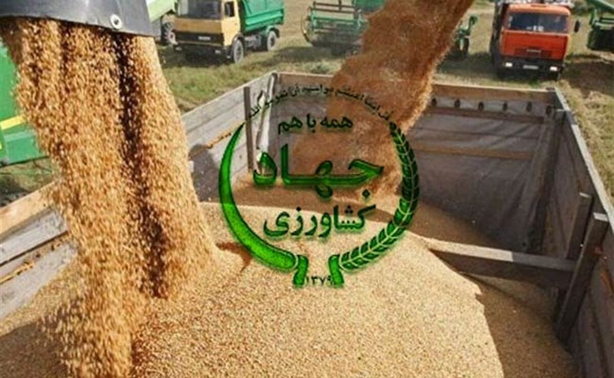 بحران در تأمین نهاده‌های دامی؛ اعتراض شدید دامداران به وزارت جهاد کشاورزی+ نامه