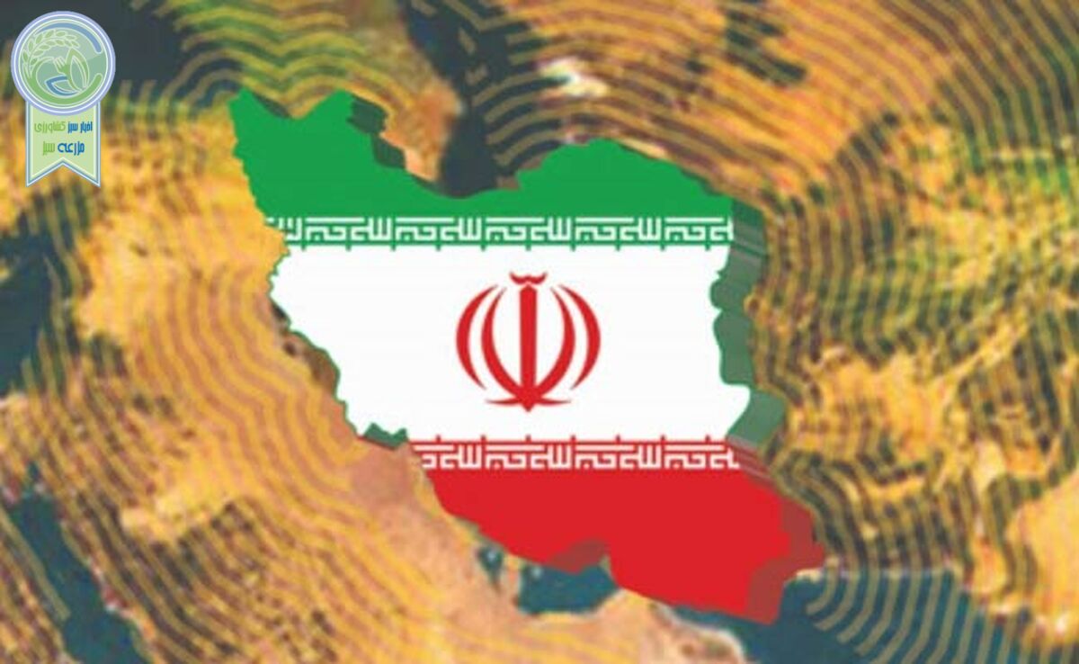 همبستگی اجتماعی در چند ساعت

