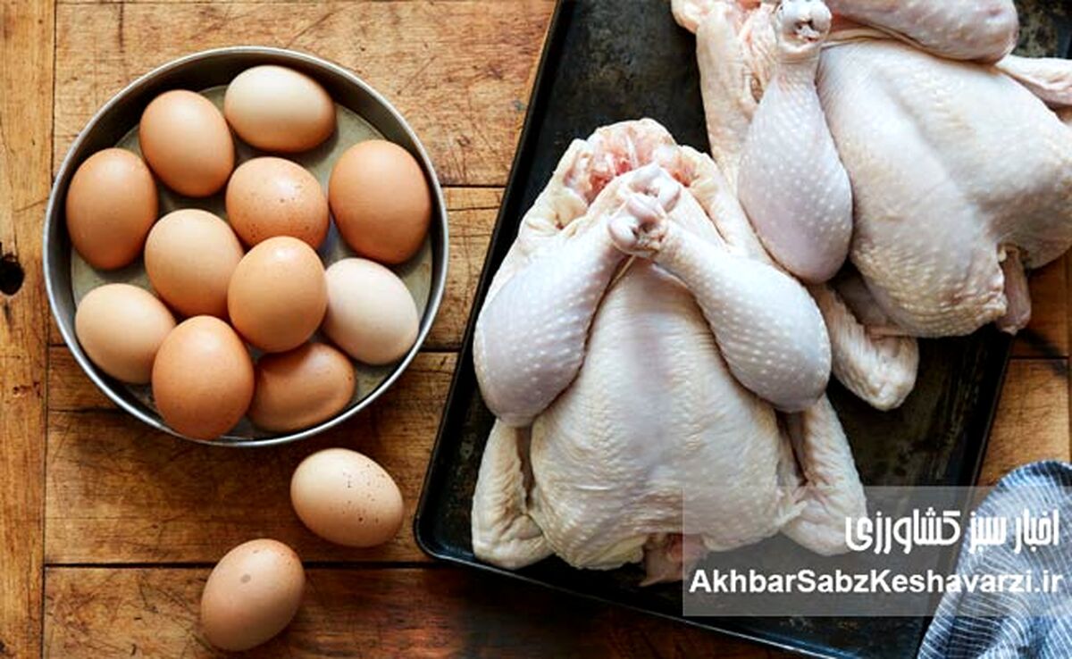 این مواد غذایی را قبل از مصرف نشویید؛ اشتباهی رایج در آشپزخانه