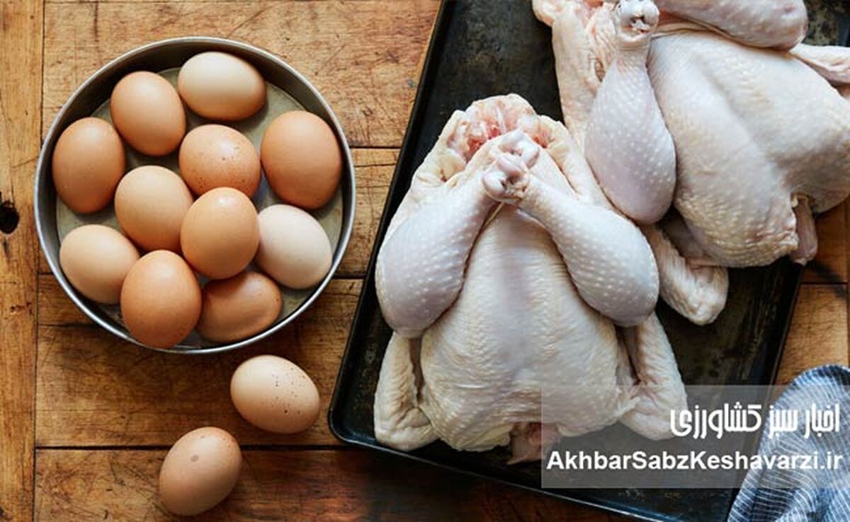 این مواد غذایی را قبل از مصرف نشویید؛ اشتباهی رایج در آشپزخانه