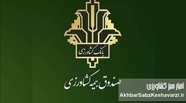آغاز پایش خسارت بیمه کشاورزی ۱۴۰۵؛ تمرکز بر سرعت پرداخت غرامت