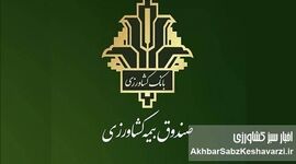 آغاز پایش خسارت بیمه کشاورزی ۱۴۰۵؛ تمرکز بر سرعت پرداخت غرامت