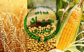 امنیت غذایی مردم: رسالت فراموش‌شده وزارت جهاد کشاورزی؟