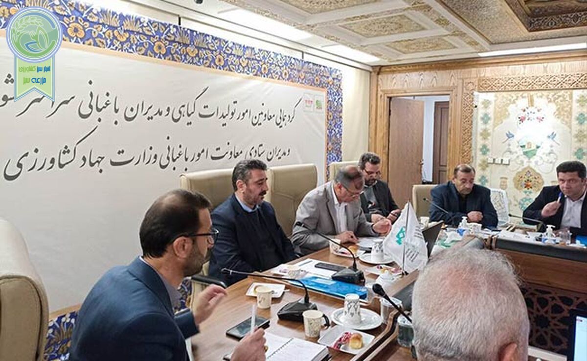 تاکید بر افزایش بهره‌وری و صادرات محصولات باغی


