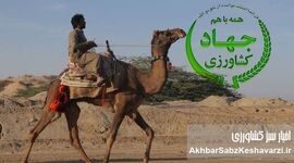 شترسواری وزیر جهاد کشاورزی؛ قاچ زین و سفت بچسب، شترسواری پیشکشت