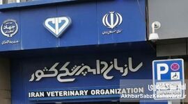 عدم صلاحیت رئیس سازمان دامپزشکی؛ نشانه‌ای از بحران مدیریتی در وزارت جهاد کشاورزی
