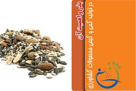 بذر و اهمیت آن در تولید کمی و کیفی محصولات کشاورزی

