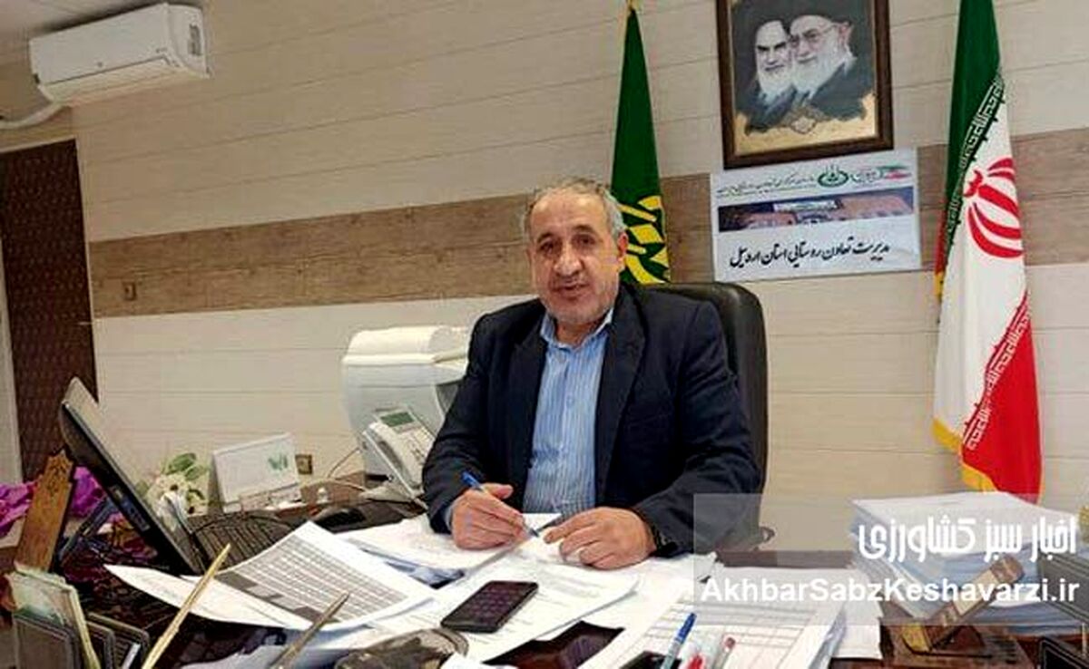 مدیر تعاون روستایی اردبیل: مداخله به‌موقع سال گذشته از فاجعه سیب‌زمینی جلوگیری کرد