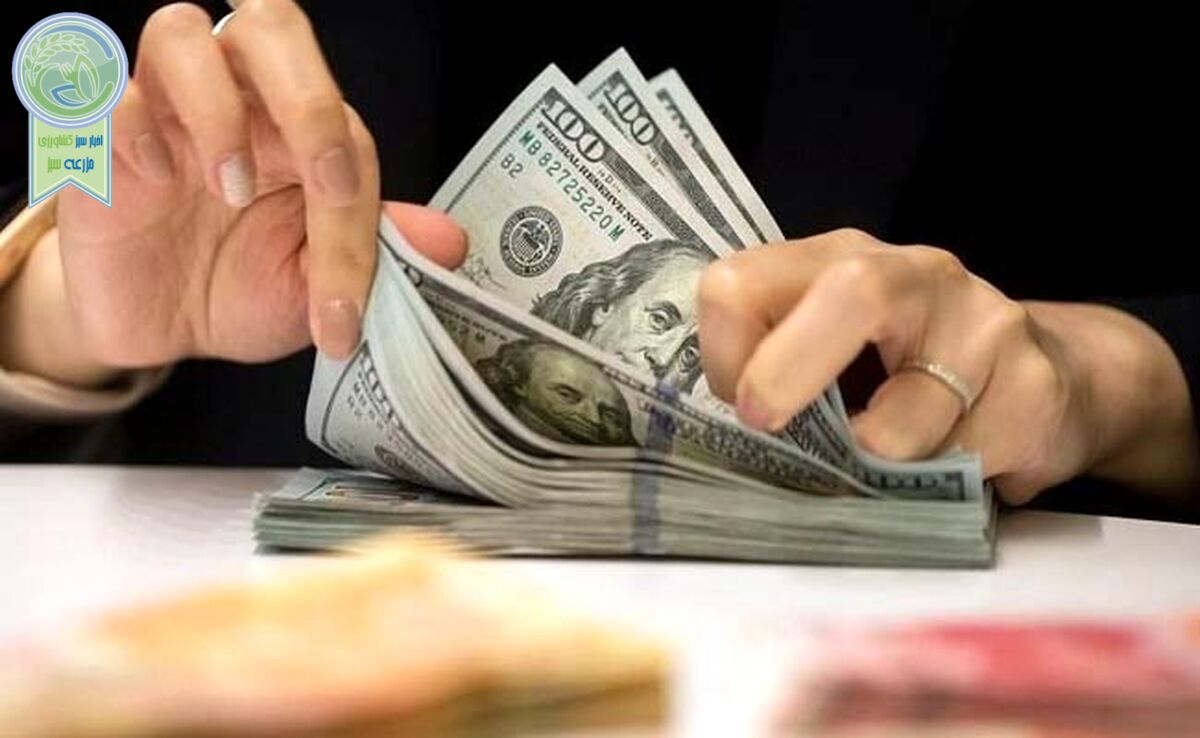 پیش فروش ارز در راه است؟