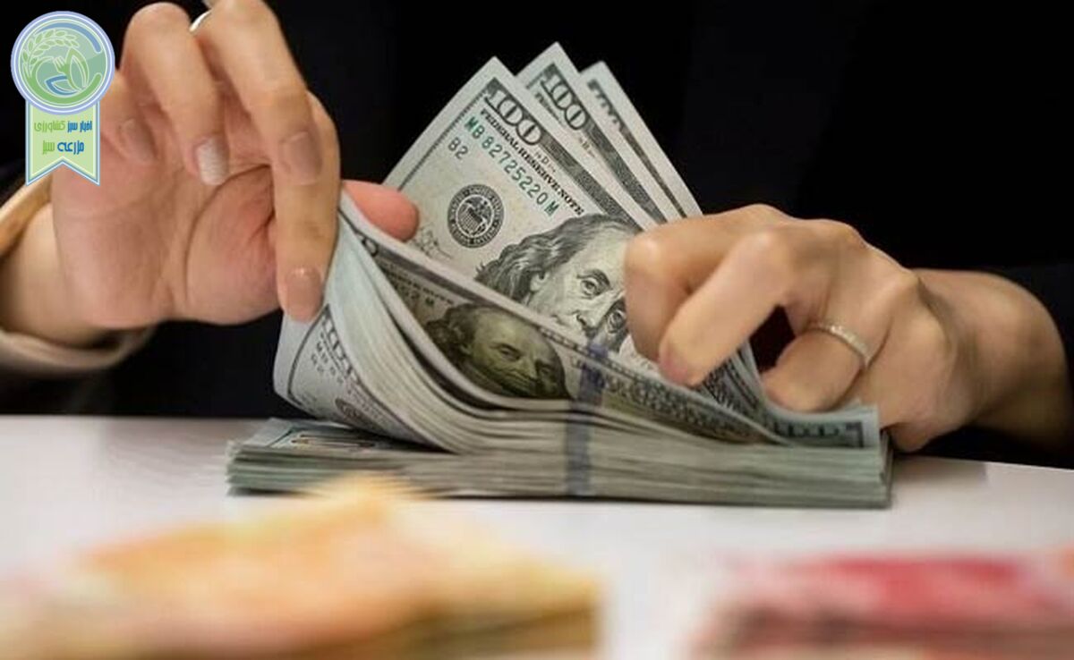 پیش فروش ارز در راه است؟