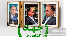 رییس جمهور: از تو گران کردن از من حمایت کردن؛ پشت پرده حمایت‌های پزشکیان از نوری قزلجه