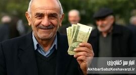 اولین واکنش دولت به کاهش حقوق بازنشستگان؛ تکذیب رسمی