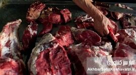 برچسب «گوشت گوساله برزیلی» روی گوشت‌های غیرمجاز! +ویدئو