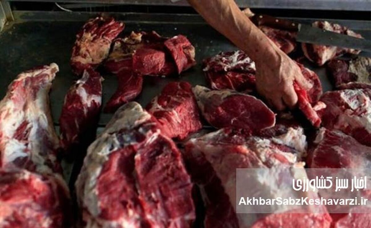 برچسب «گوشت گوساله برزیلی» روی گوشت‌های غیرمجاز! +ویدئو