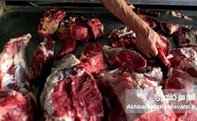 برچسب «گوشت گوساله برزیلی» روی گوشت‌های غیرمجاز! +ویدئو