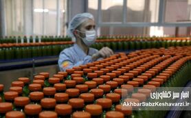 چالش‌های اساسی صنایع غذایی ایران در سال 1404؛ راهکارهای عبور از بحران