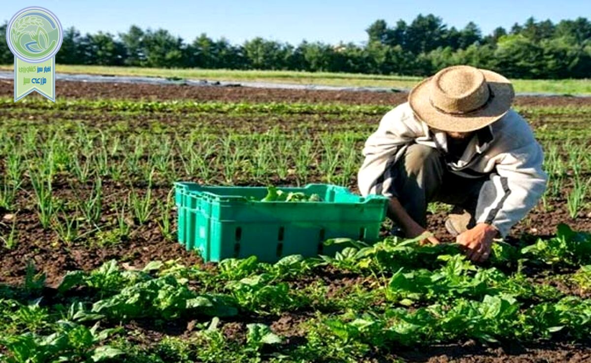 کشاورزی ارگانیک؛ رویکردی پایدار برای تغذیه سالم و حفظ محیط زیست