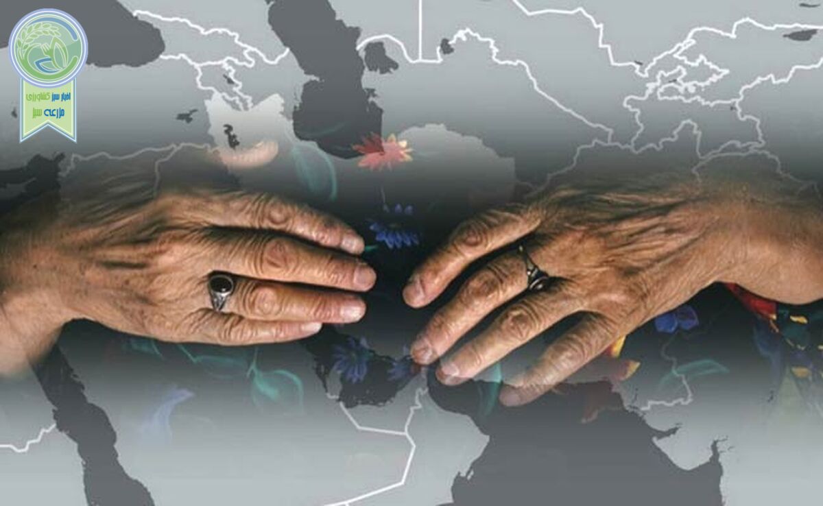 تراژدی اقتصادی_ اجتماعی

