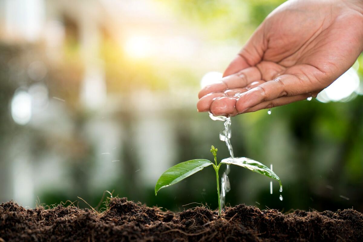 برنامه پیوند آب و خاک آسیای مرکزی توسط فائو