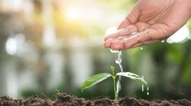 برنامه پیوند آب و خاک آسیای مرکزی توسط فائو