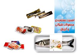 اهمیت بسته‌بندی محصولات شیلاتی و آبزیان

